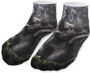 Elephant Under Waterfall Ankle Socks Breathable Low Cut Sports Socks Casual No Show Sock for Women Men