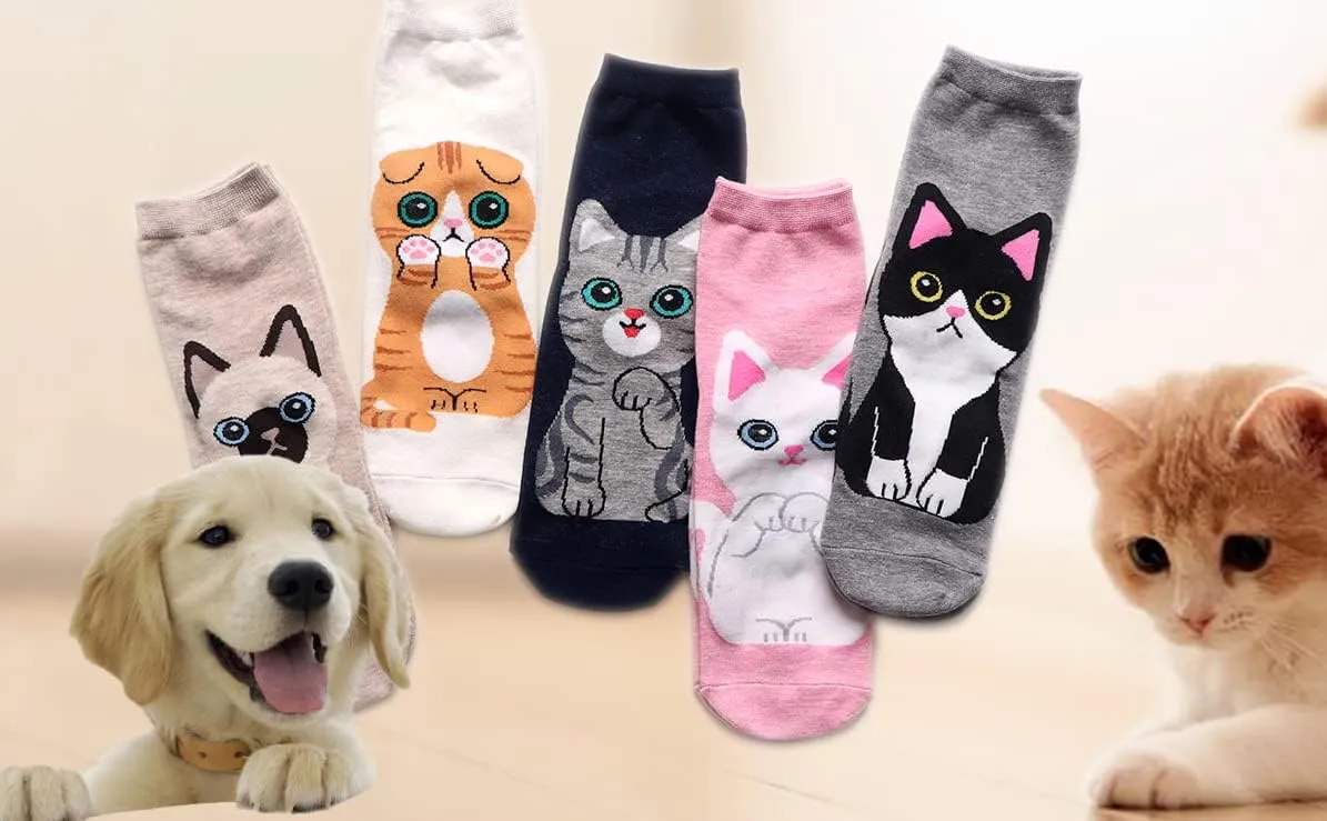 Womens Cute Cat Socks Funny Animal Pattern Gift Socks for Lady Female Girl Soft Cotton Pet Sox 5 Pairs